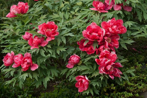 Explore the 2023 comprehensive guide: secure grants for asbestos removal for uk homeowners